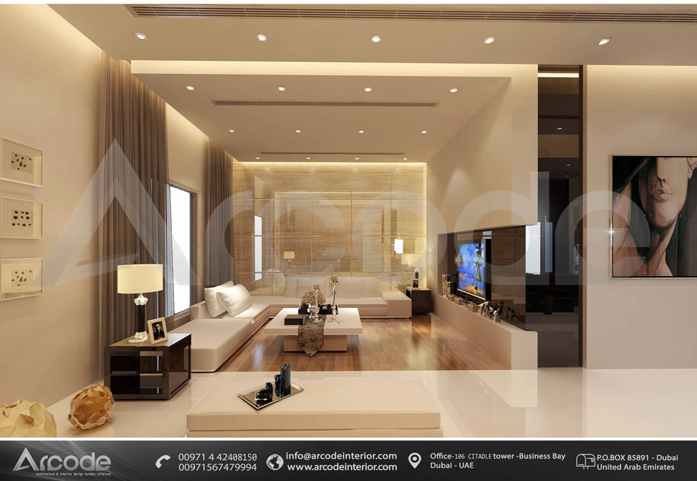 Vast livingroom Design 