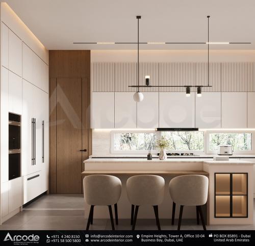 Modern Style Kitchen 1